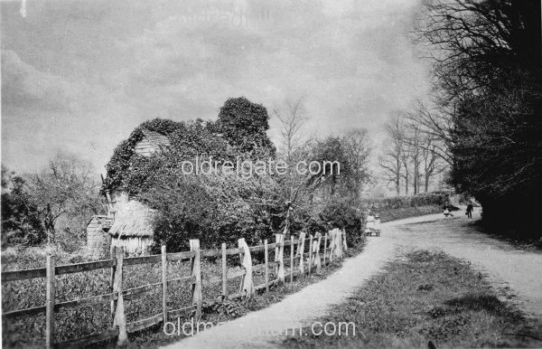 Image number 1090&prevurl=cockshotroad