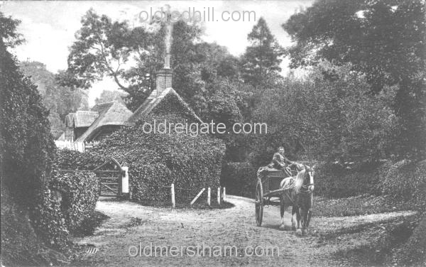 Image number 1138&prevurl=cormongerslane