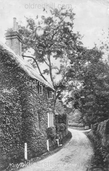 Image number 1139&prevurl=cormongerslane