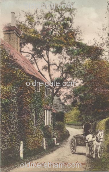 Image number 1140&prevurl=cormongerslane