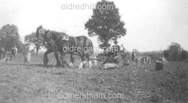 Image number 1144&prevurl=year1933
