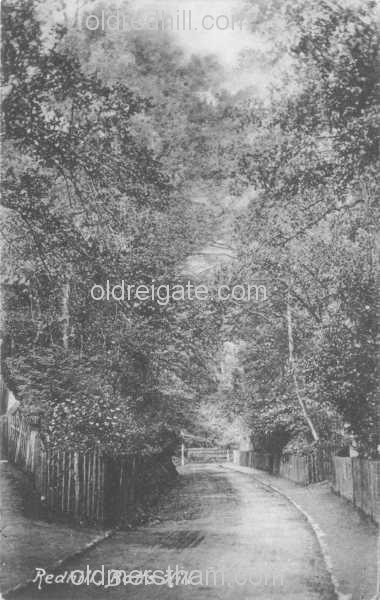 Image number 176&prevurl=year1919