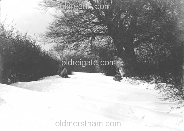 Image number 1833&prevurl=year1919