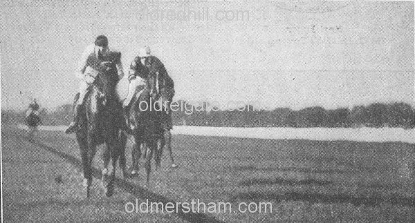 Image number 1905