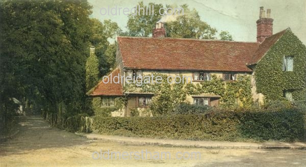 Image number 2807&prevurl=linkfieldlane2