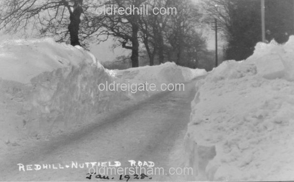 Image number 3328&prevurl=nutfieldroad