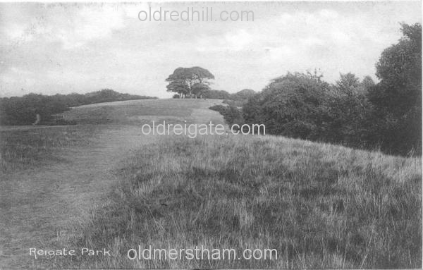Image number 3459&prevurl=reigatepark