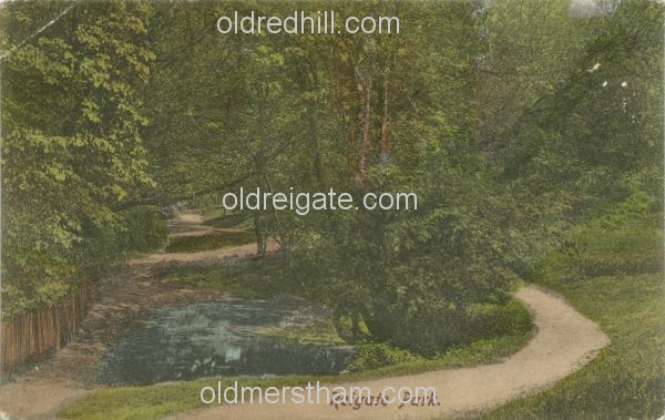Image number 3462&prevurl=reigatepark