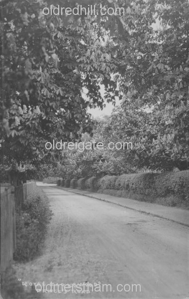 Image number 3733&prevurl=princesroad