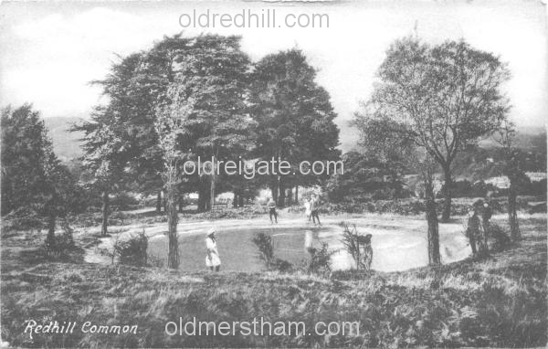 Image number 4063&prevurl=redhillcommon5