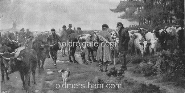 Image number 4225&prevurl=reigateheath
