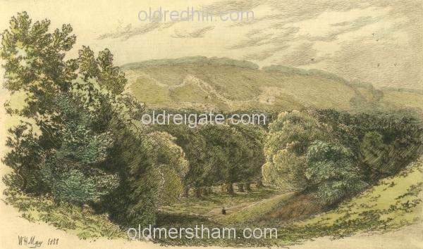 Image number 4227&prevurl=reigateheath