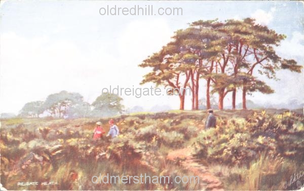Image number 4228&prevurl=reigateheath