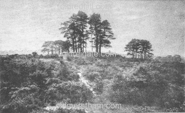 Image number 4229&prevurl=reigateheath