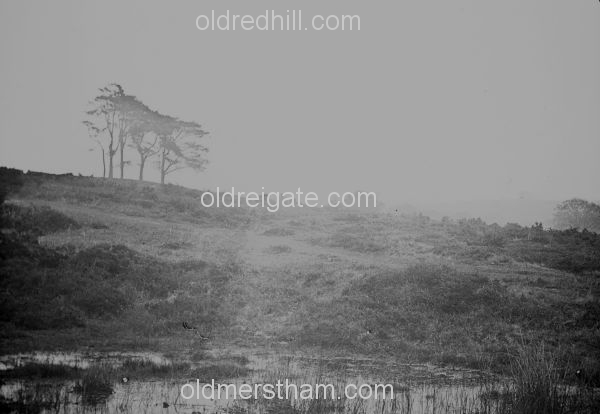 Image number 4230&prevurl=reigateheath