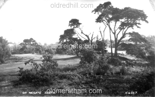 Image number 4231&prevurl=reigateheath