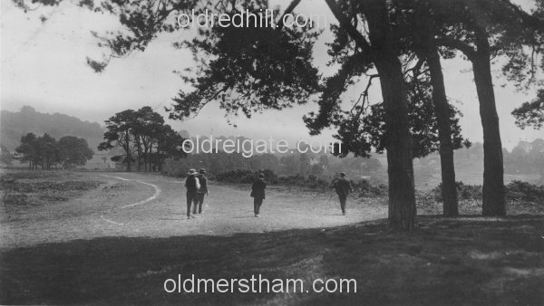 Image number 4233&prevurl=reigateheath