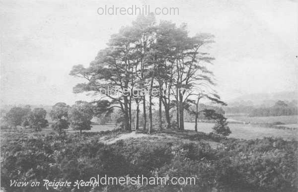 Image number 4234&prevurl=reigateheath