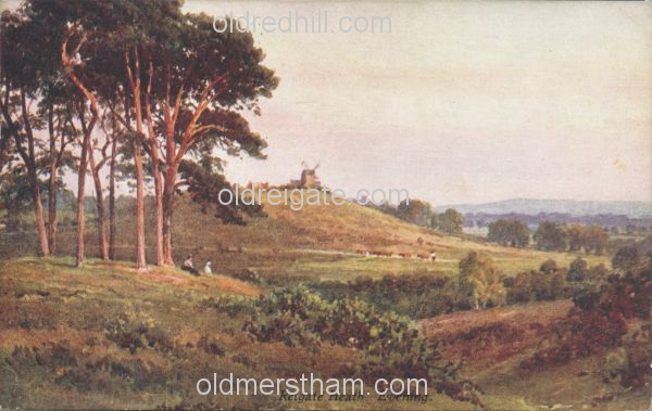 Image number 4298&prevurl=reigateheath4