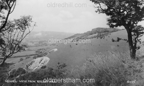Image number 4505