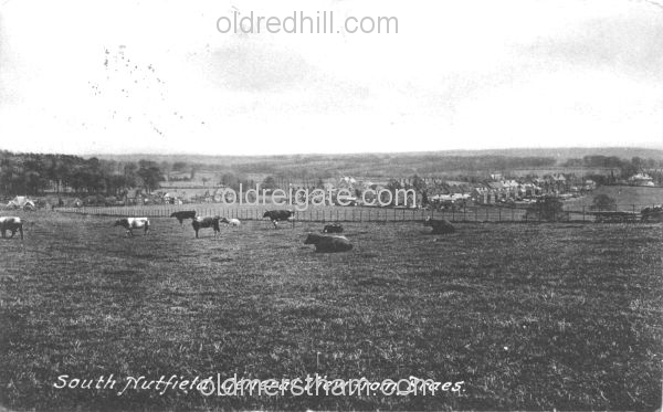 Image number 480&prevurl=bowerhilllane