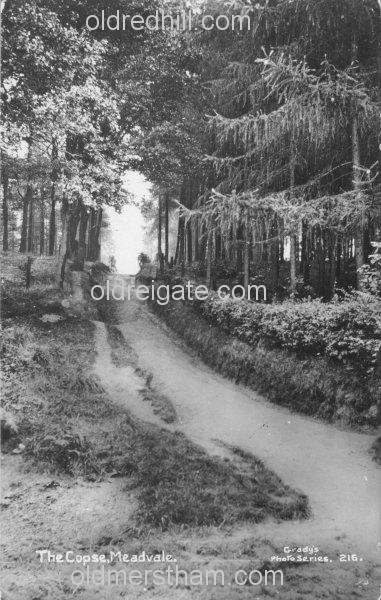 Image number 5513&prevurl=publishers115