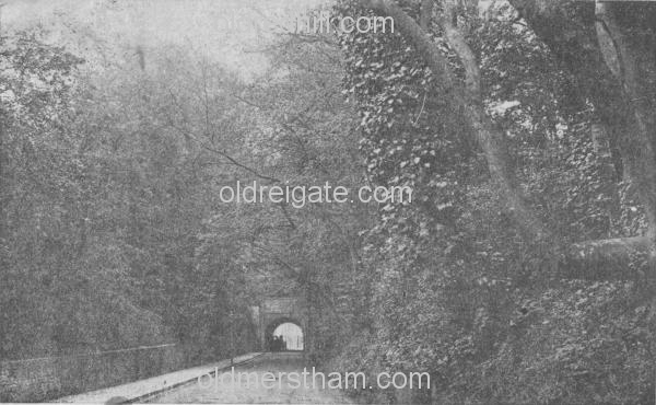 Image number 5604