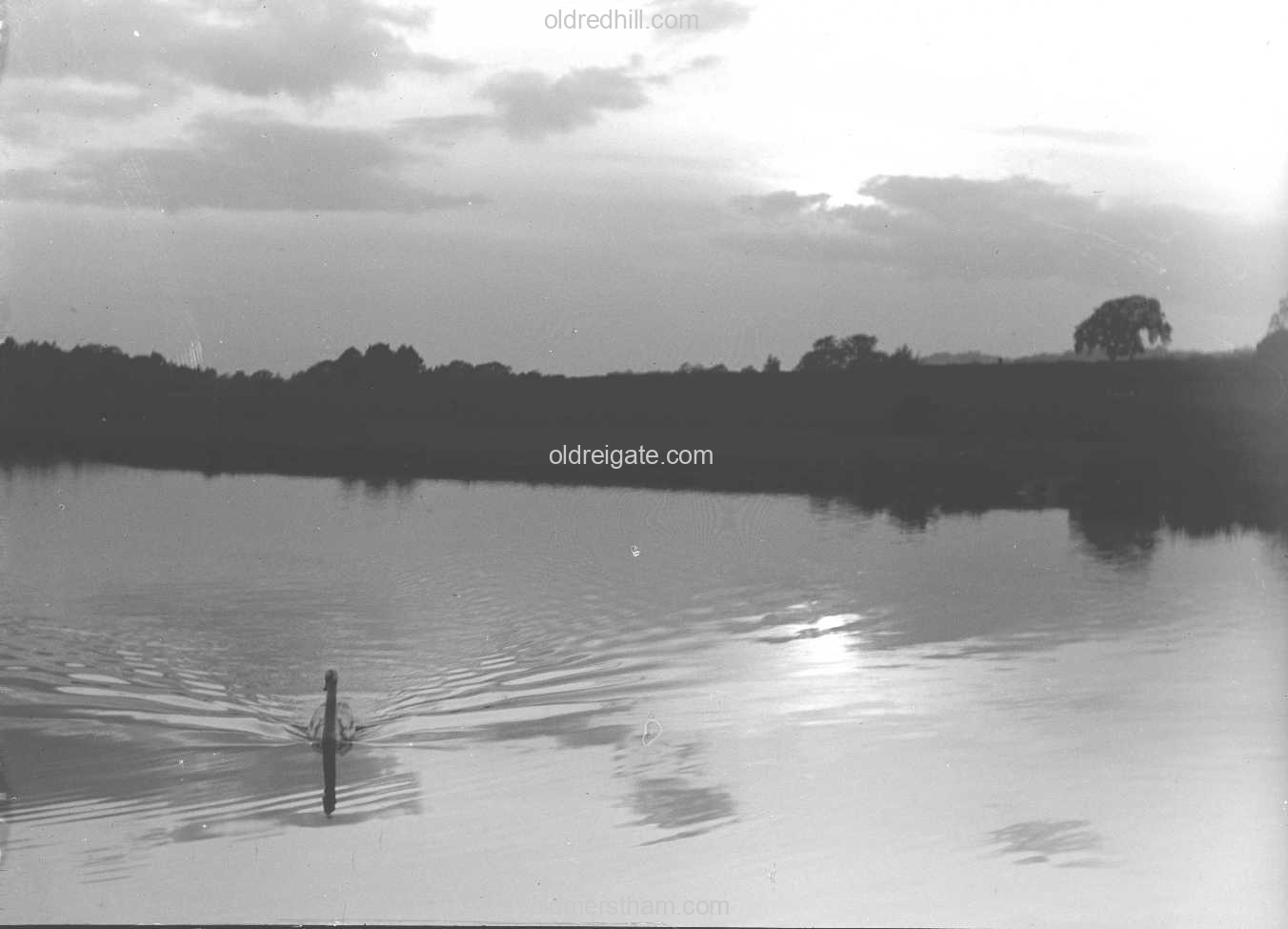 Image number 7612