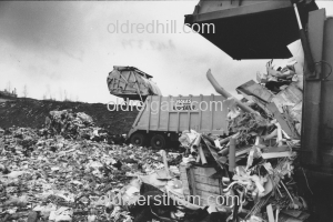 Image number 