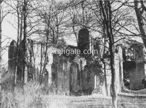 Image number 