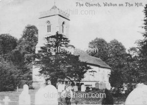 Image number 