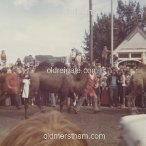 Image number 